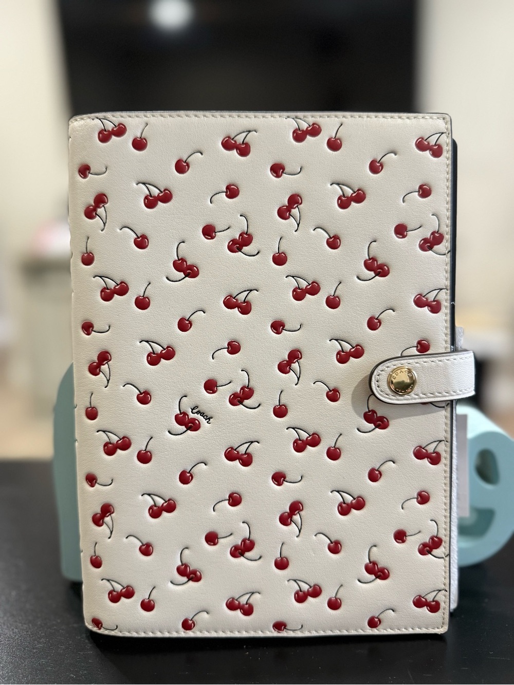 Coach Notebook